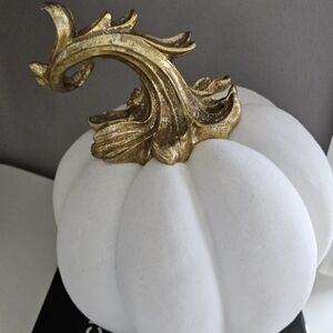 Velvet pumpkins